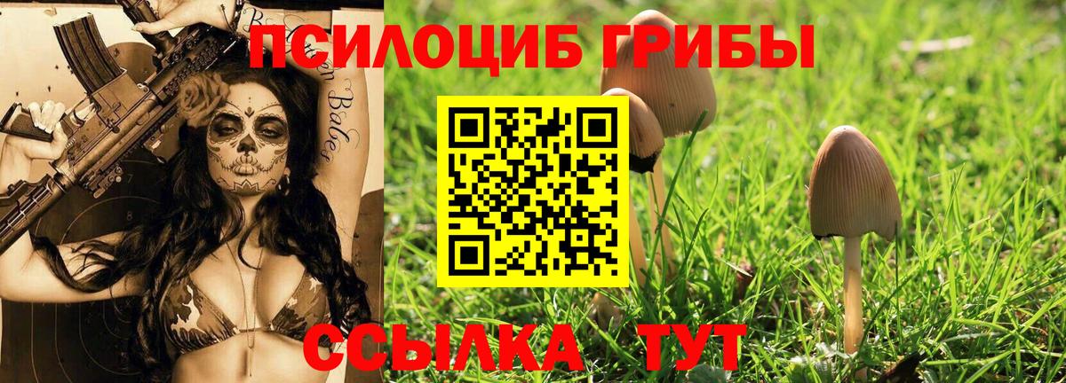 Выкса  наркота  Вход с VPN  Псилоцибиновые грибы мухоморы 